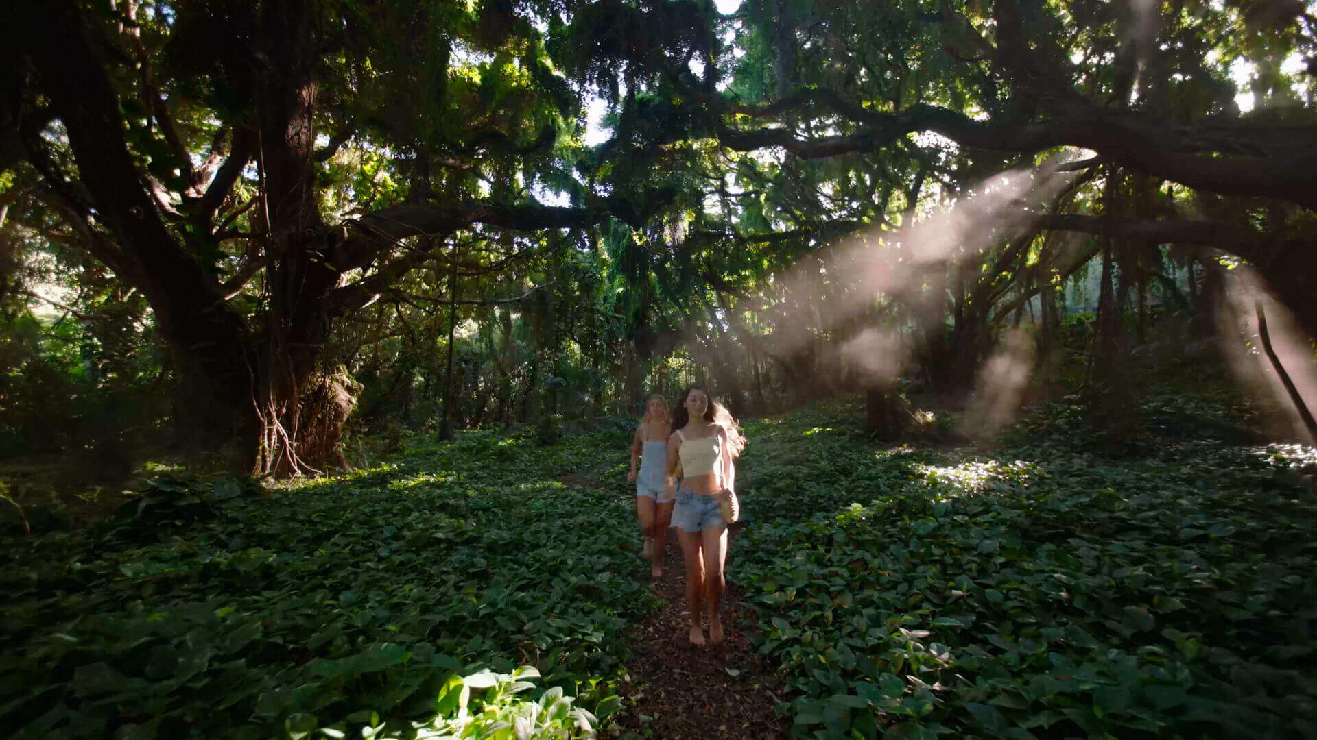 DJI Flip product photo