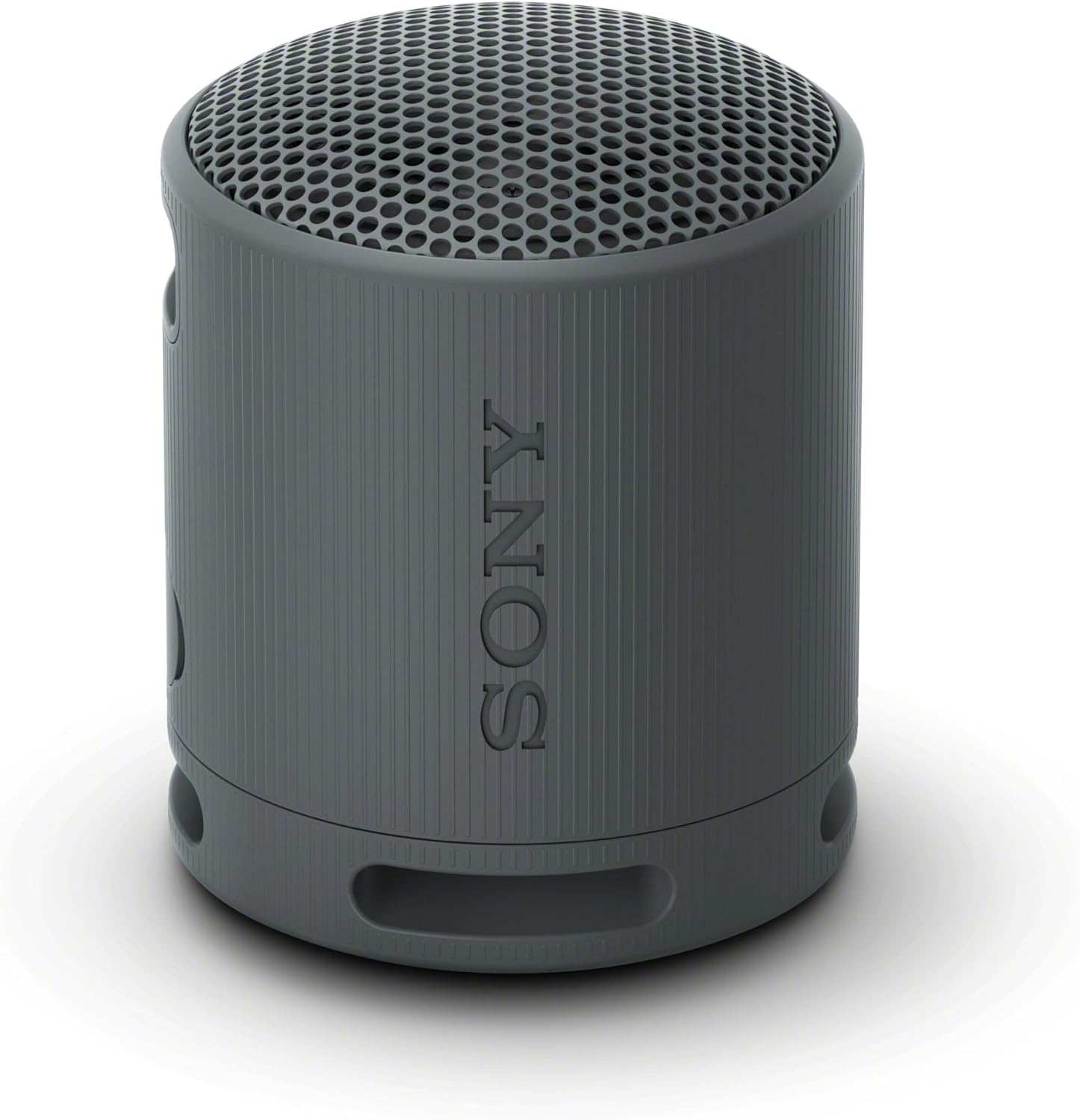 Sony SRS-XB100 Wireless Bluetooth Portable Speaker product photo